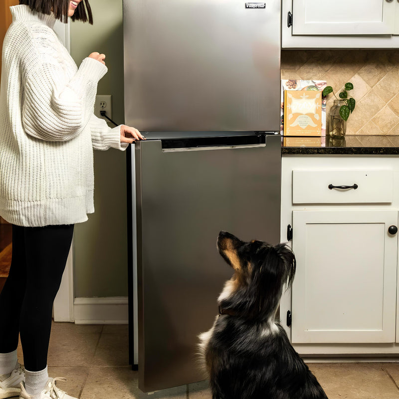 10.1 cu. ft. Top Freezer Refrigerator in Platinum Steel